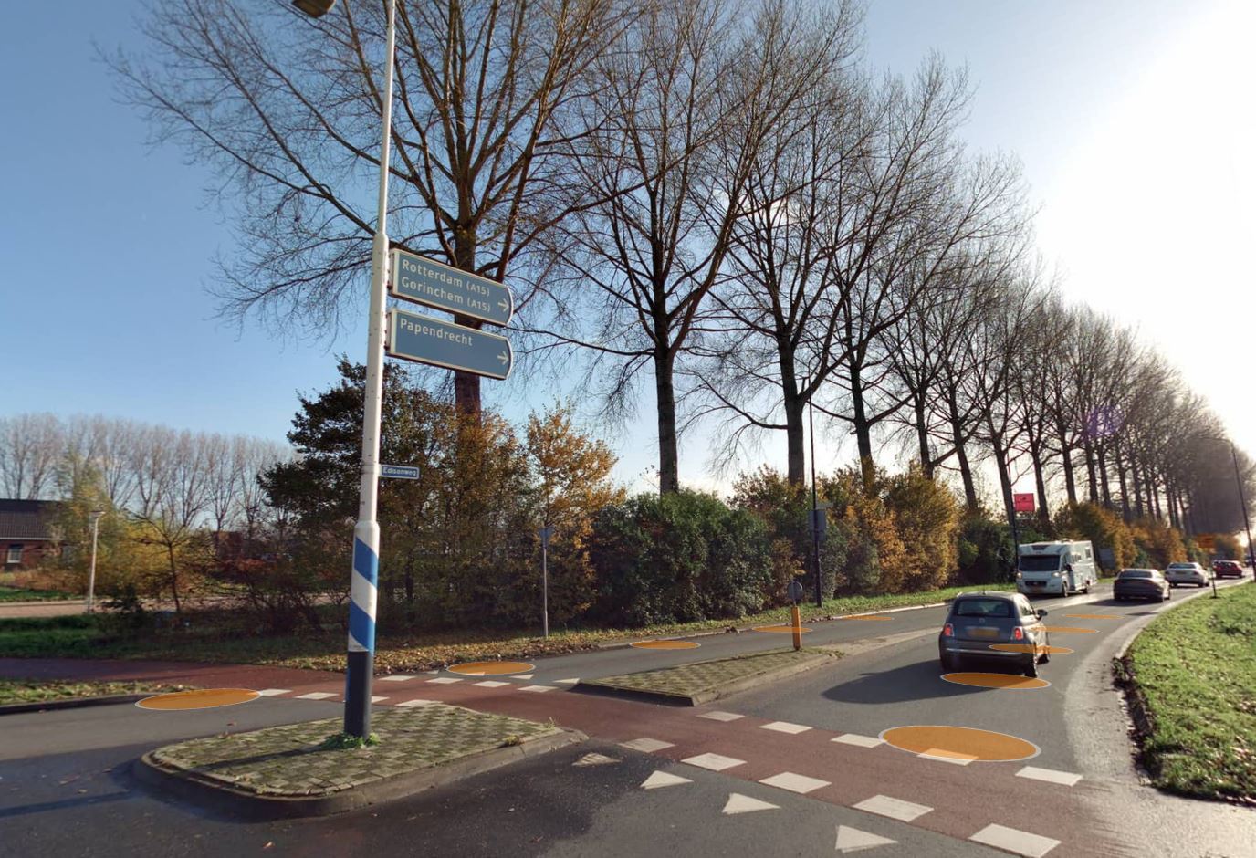 Foto van de populieren aan de Edisonweg waar snoeiwerkzaamheden plaatsvinden