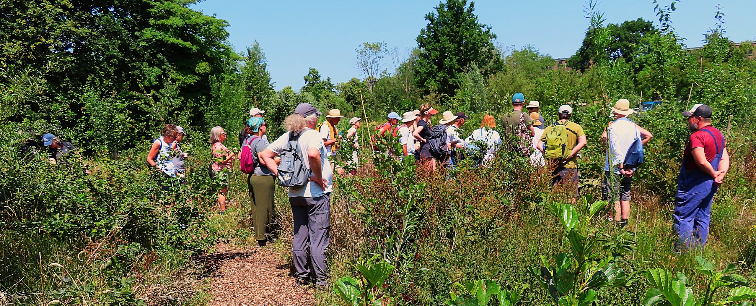 Open ochtend Voedselbos tijdens Weekend van de Natuur