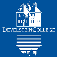 Logo Develstein
